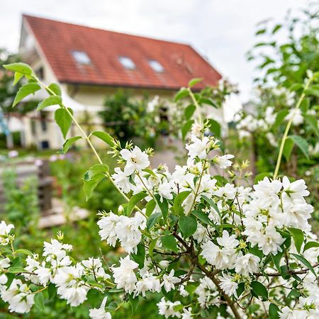 Beutenmuehle Straussenfarm Dach Owingen Esterno foto