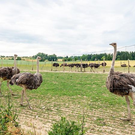 Beutenmuehle Straussenfarm Dach Owingen Esterno foto