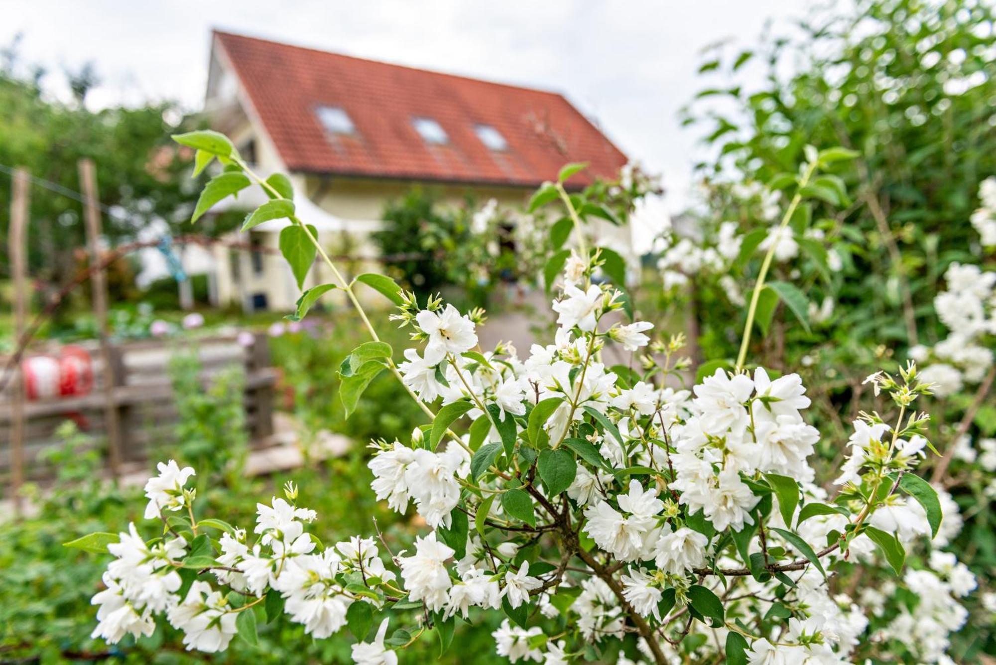 Beutenmuehle Straussenfarm Dach Owingen Esterno foto