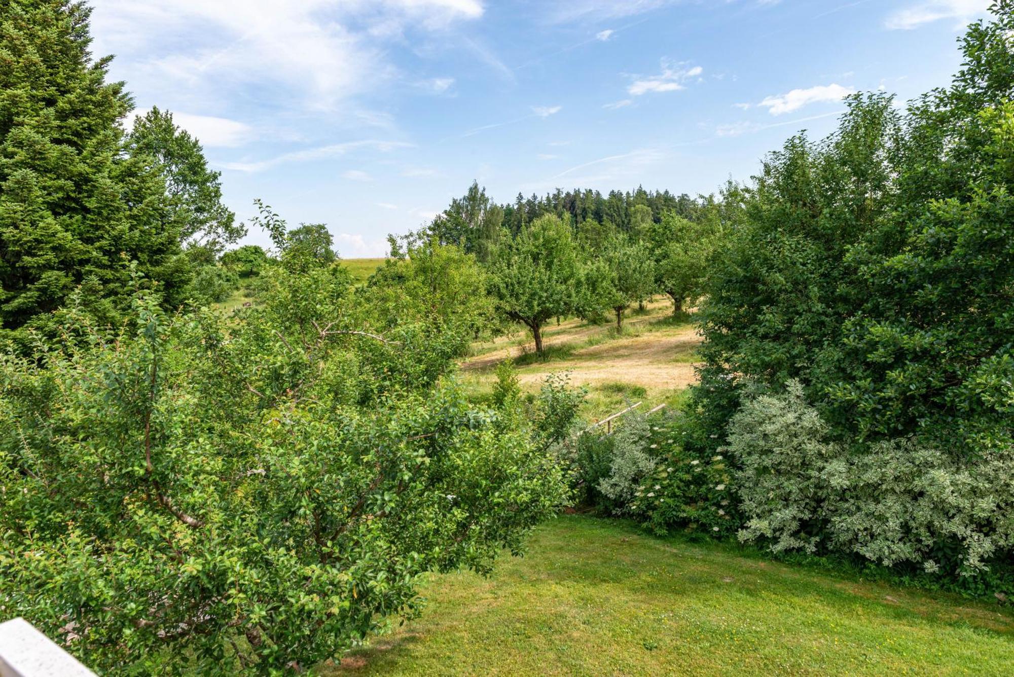 Beutenmuehle Straussenfarm Dach Owingen Esterno foto
